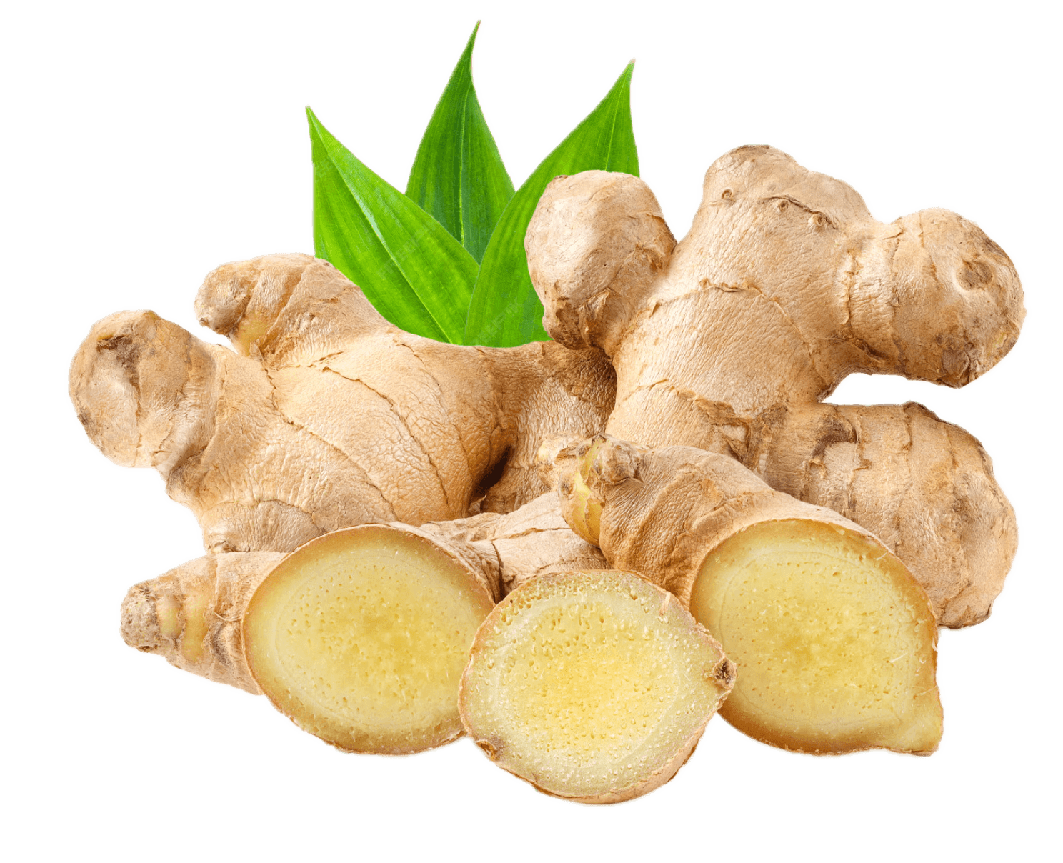 Ginger